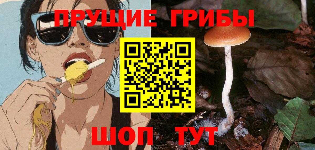 Псилоцибиновые грибы GOLDEN TEACHER Петрозаводск