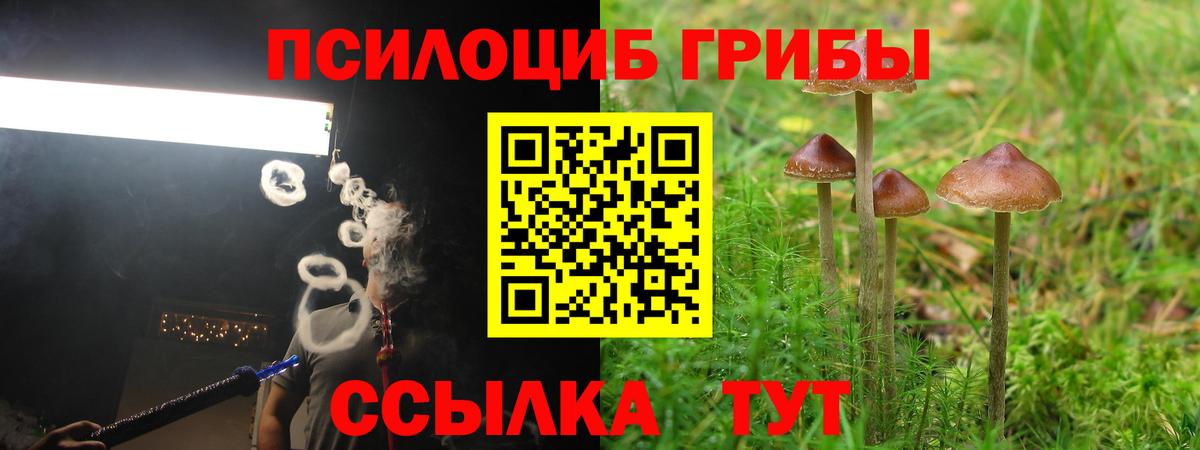 закладка  Вход с VPN  Петрозаводск  Галлюциногенные грибы Psilocybine cubensis  Галлюциногенные грибы прущие грибы 