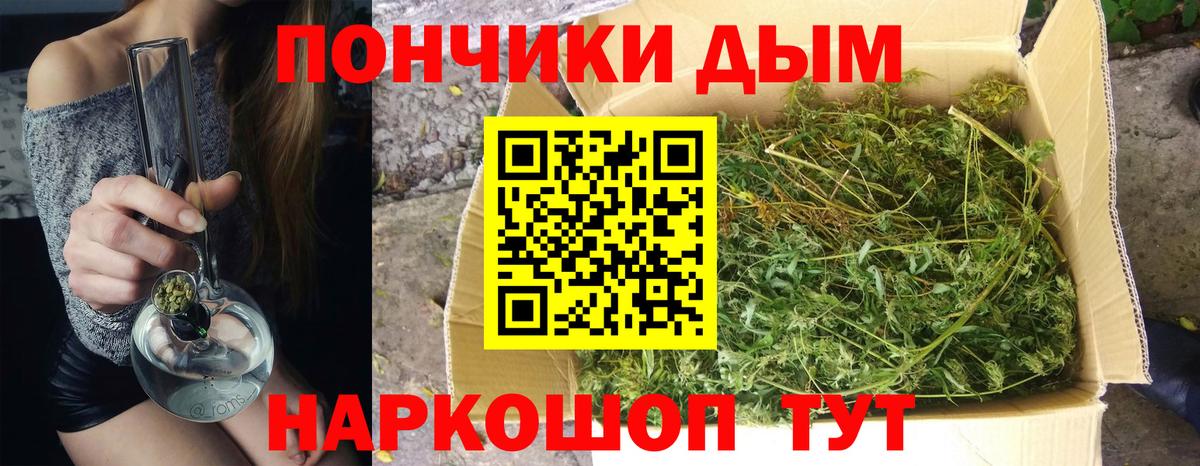 Шишки марихуана гибрид Петрозаводск